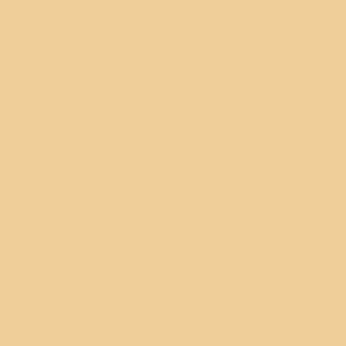 VELA™ Touch & Go Hair Concealer